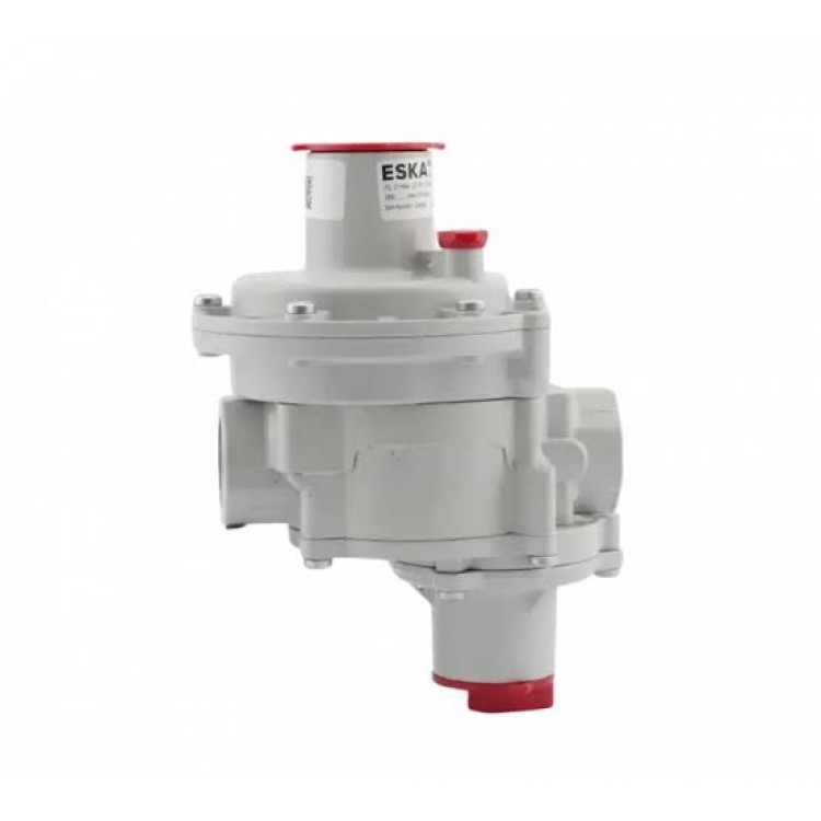 Eska 1 İnç SHUT-OFF Regülatör ERG-E 1025
